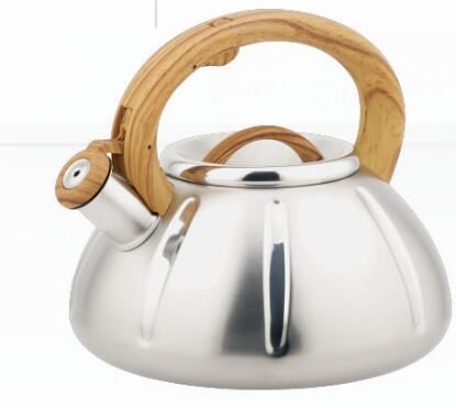 stainless steel whistling kettle