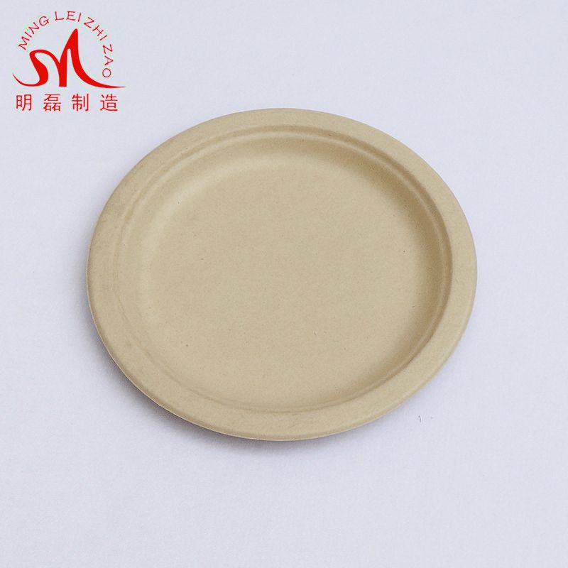 10 inch Sugarcane Bagasse Pulp Plate Biodegradable Bagasse Tableware Dishes Disposable Plates Tableware