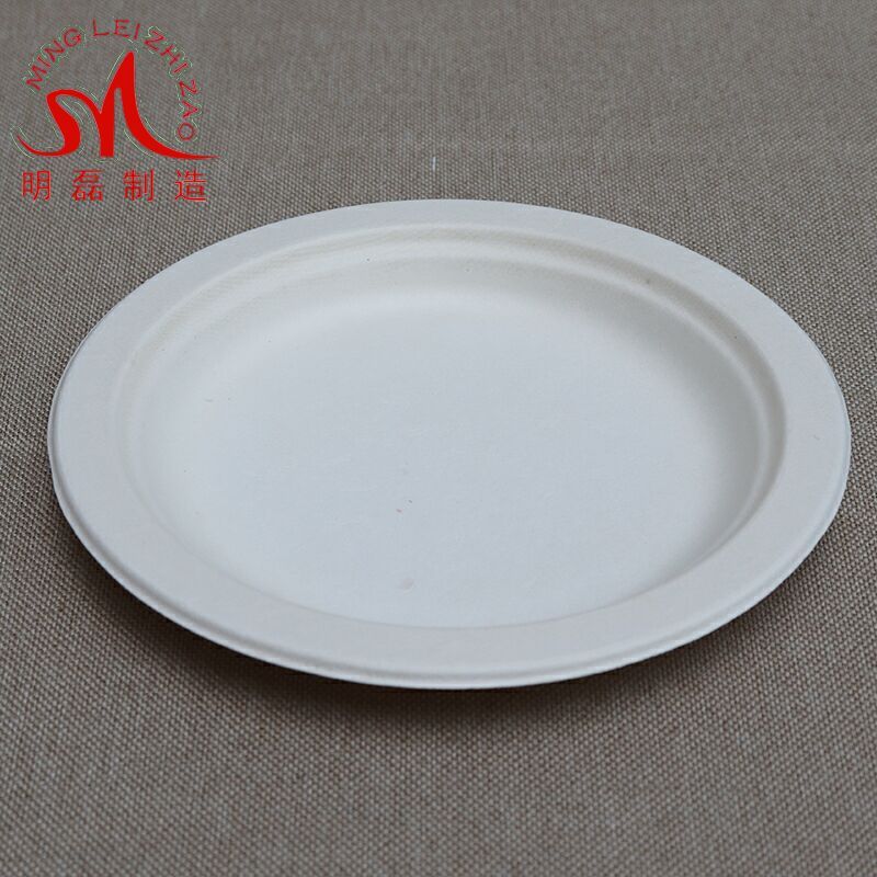 10 inch Sugarcane Bagasse Pulp Plate Biodegradable Bagasse Tableware Dishes Disposable Plates Tableware