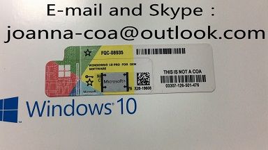 Genuine Original W 10 Pro OEM Coa Key License Sticker