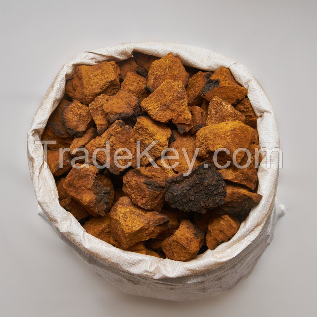 Siberian Chaga Pieces