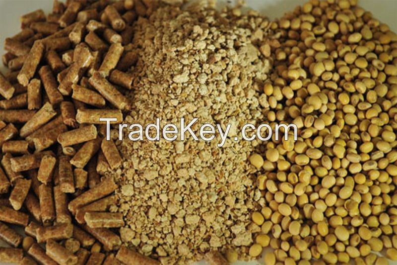 Soybean meal