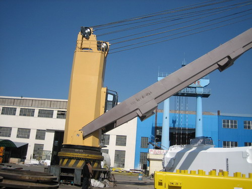 Hydraulic Hose Crane