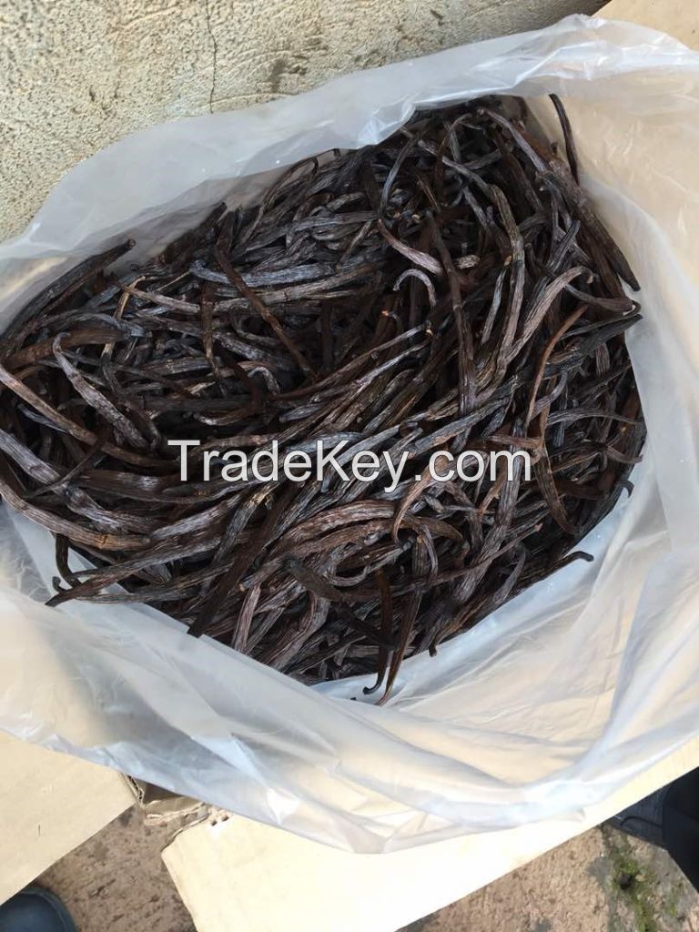 vanilla pods