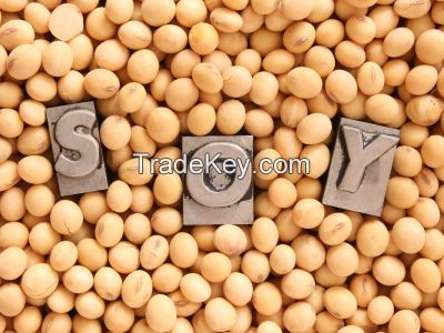 High Nourishing Soy Beans