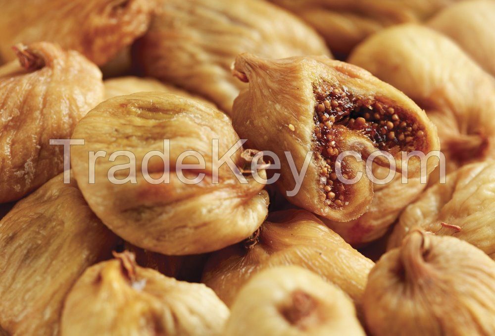 Fresh Dried Fig Fruit