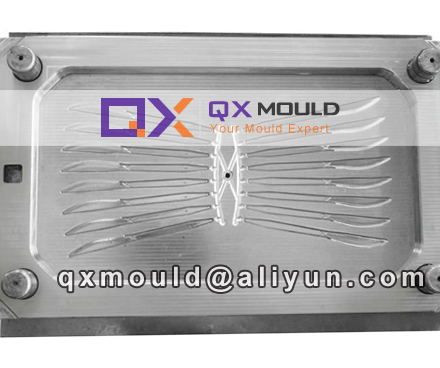 PP and PS table knife mould