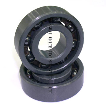 Full Ceramic Bearing