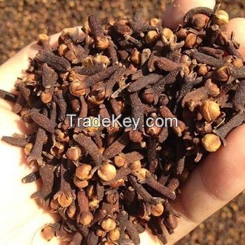 100% QUALITY RAW CLOVES For Sale