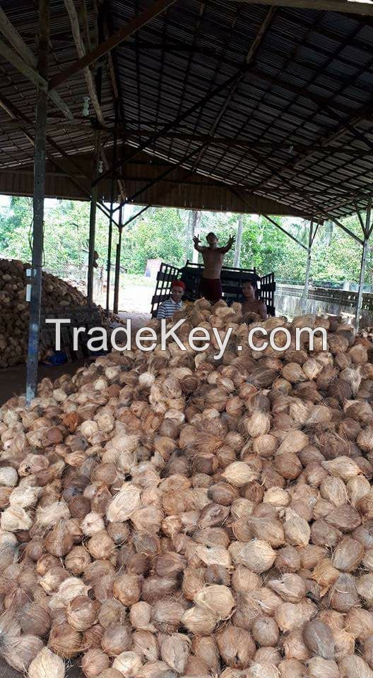 Dried Coconut and Other Coconut Products