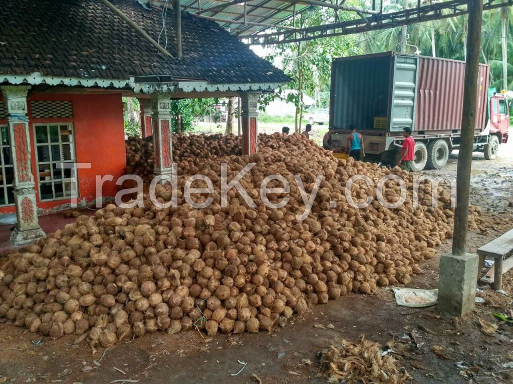 Dried Coconut and Other Coconut Products