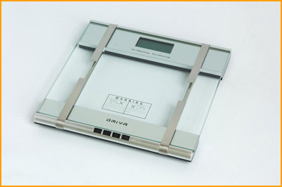 Body Fat Scale