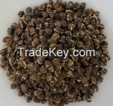 Moringa Seeds, Dry Moringa Leaves, Moringa Powder