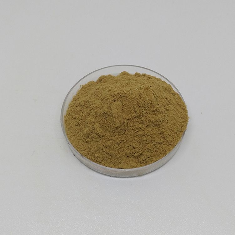 Green Coffee Bean Extract Chlorogenic Acid Powder 50%