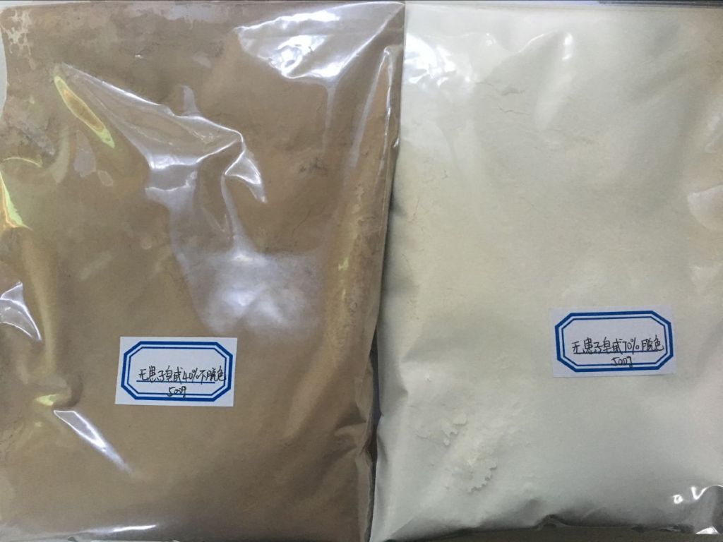 soapberry/soapnut seed extract powder 70% Saponins