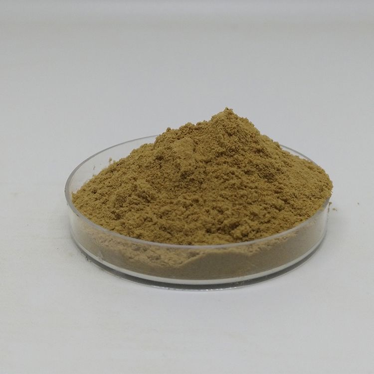 Green Coffee Bean Extract Chlorogenic Acid Powder 50%