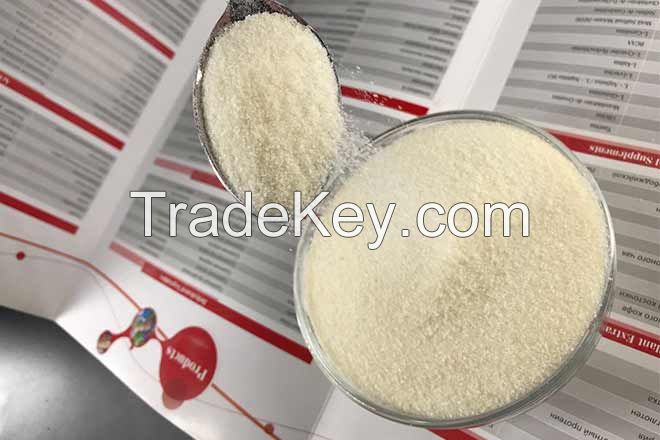 Good Quality Halal Edible Bovine Skin Bovine Bone Gelatin Powder