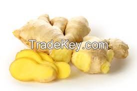 Ginger