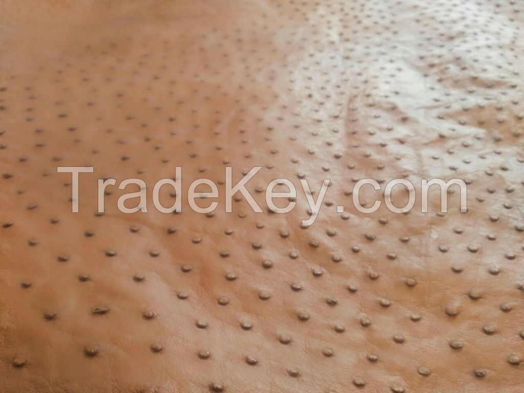 Ostrich Finish Leather