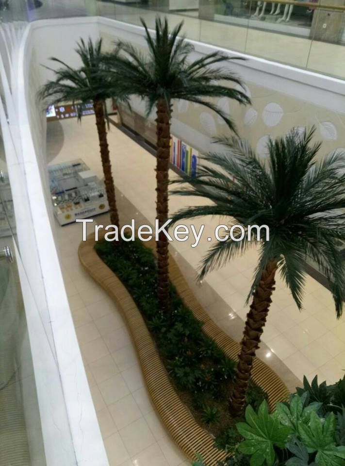 Preserved Palm Trees