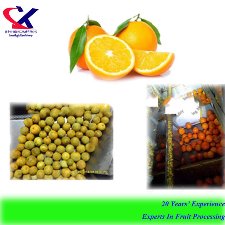 High Quality Automatic Fruit Oil Extracting Oil Milling Machine