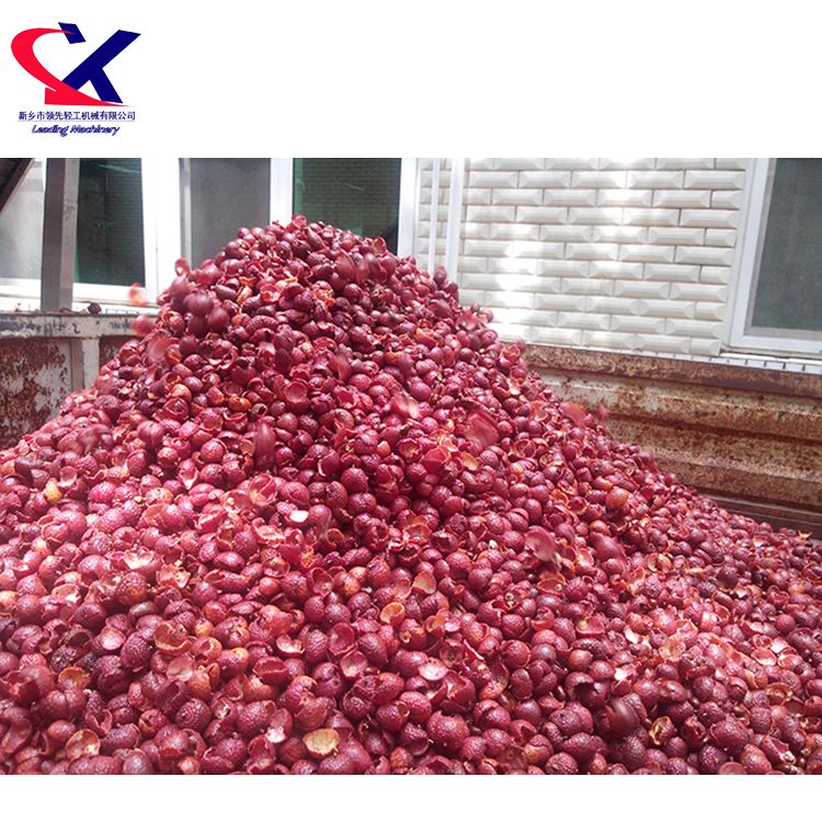 Large Scale Automatic Lychee/Litchi Fruit Pulp Process Machine