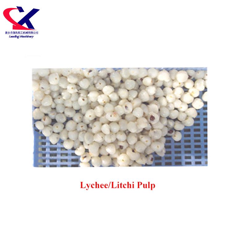 Large Scale Automatic Lychee/Litchi Fruit Pulp Process Machine