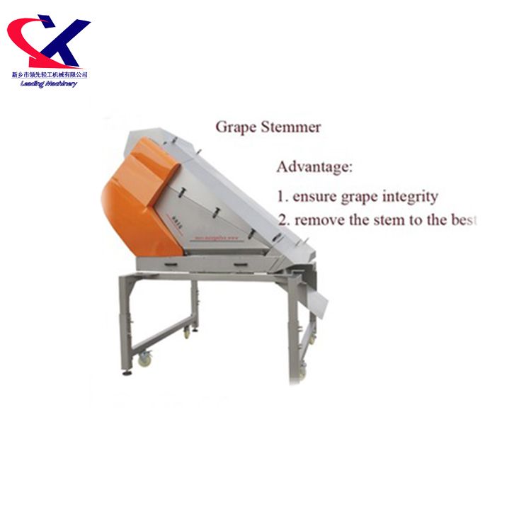 Large Capacity Grape Fruit Binocular Destemming and Selecting Machine