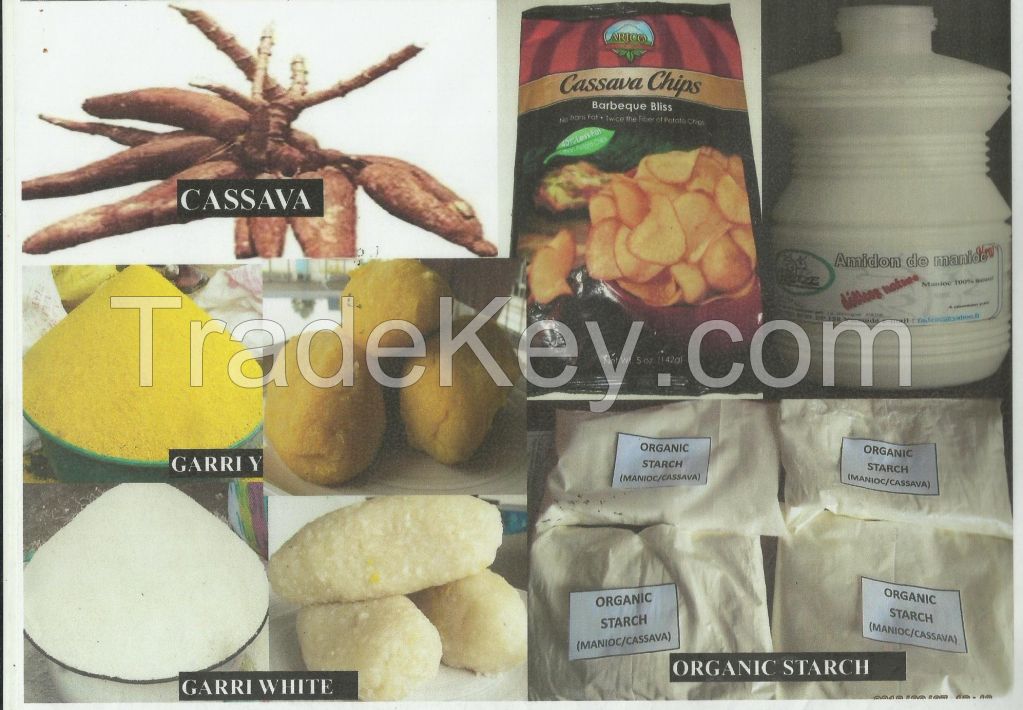 Popcorn, Plantain chips, Garri, starch and pure avocado oil