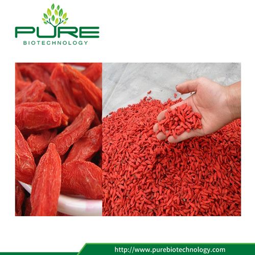 Dried Fruit Goji Berry 