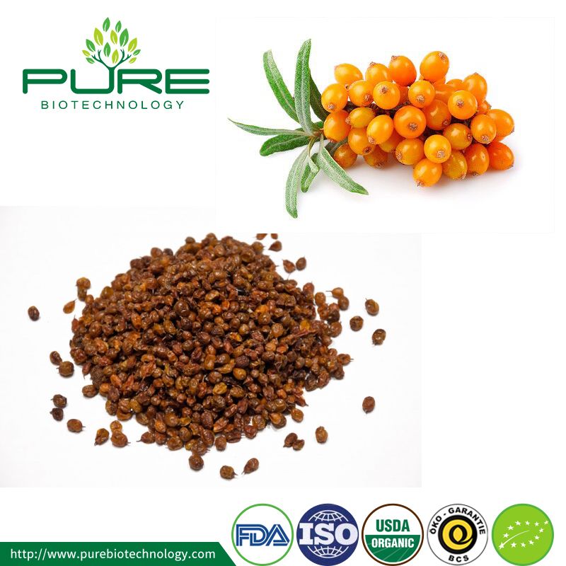 Raw Herbal Dried Sea Buckthorn Berries