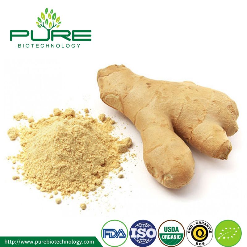 Organic Dried Ginger Powder