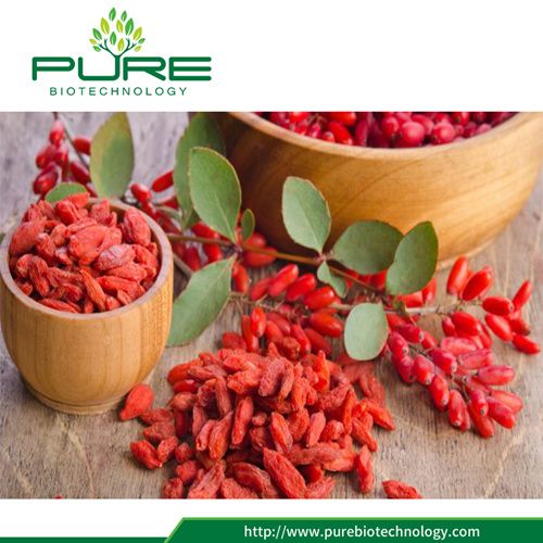 Dried Fruit Goji Berry 