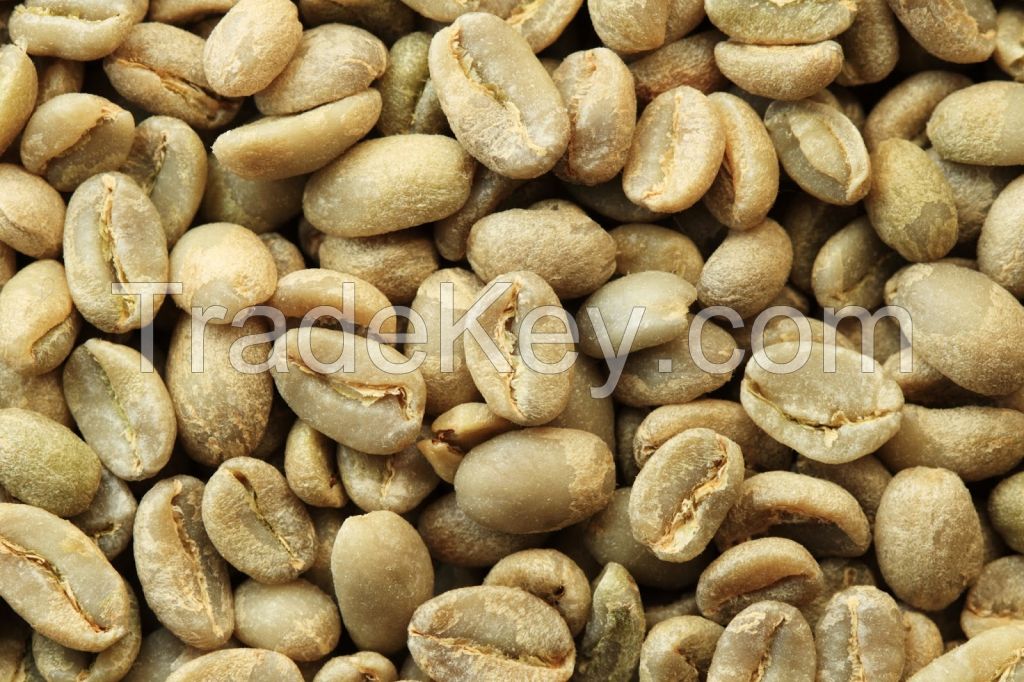 Robusta green coffee beans from Vietnam Factory