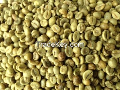 Robusta green coffee beans from Vietnam Factory