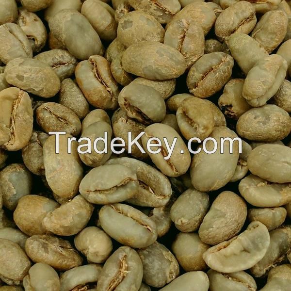 Green Robusta Coffee Beans