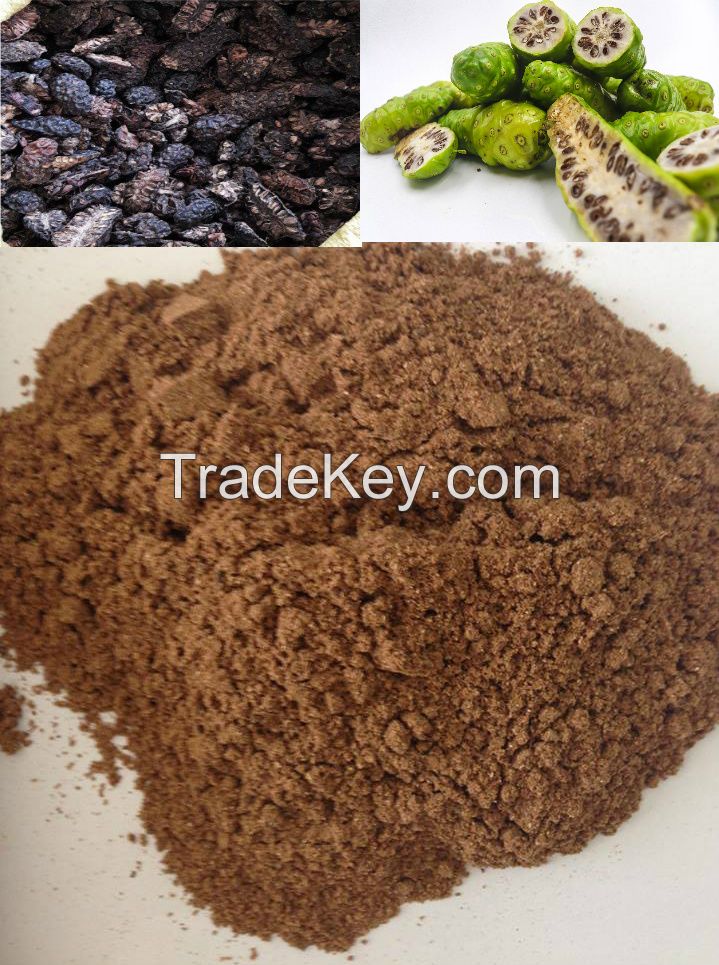 Material Noni Fruit/ Morinda Citrifilia Extract Powder