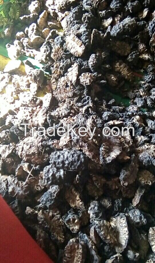 Material Noni Fruit/ Morinda Citrifilia Extract Powder