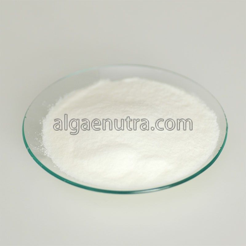 DHA Algae Powder  omega-3 fatty acid  for food additive