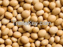 Soybeans