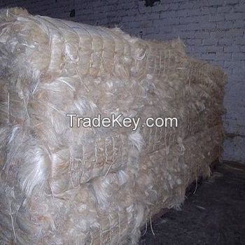 Top Quality Health Wholesale Natural Chitosan sisal fiber for export