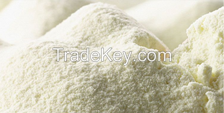 Milk Powder (Goat / Cow) for sale. 30% discount