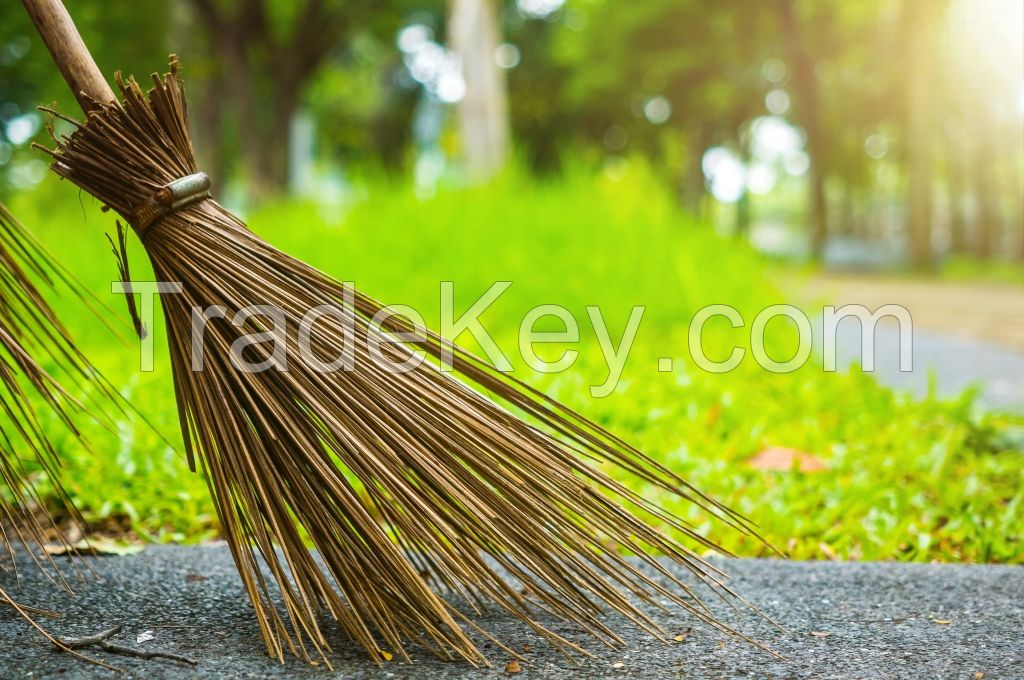 Broomstick Vietdelta