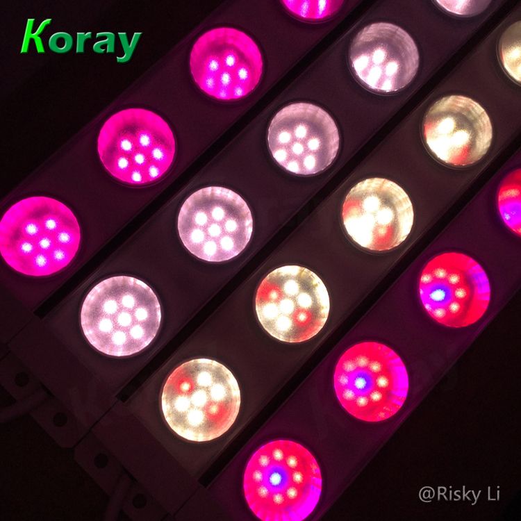 Koray Full Spectrum LED Plant Grow Light Bar for Hydroponic Vertical Farm