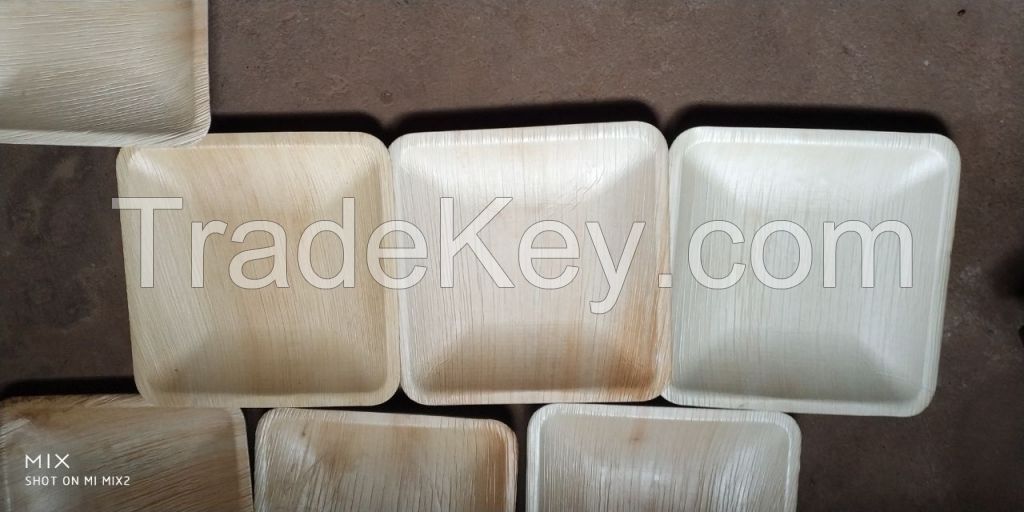 Areca Leaf Plates