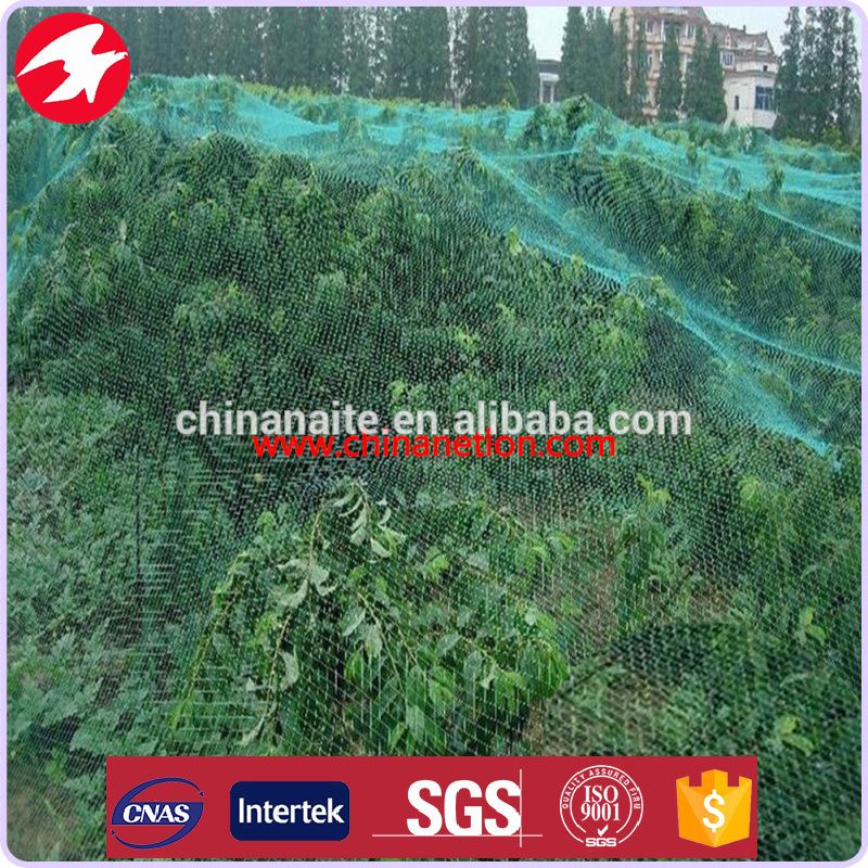 HDPE Plastic Agricultural And Garden Anti Bird Net