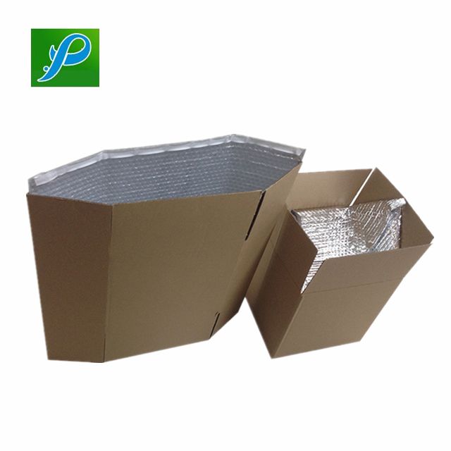 Cool Packaging Vanpor Thermal Insulated Bubble Box Liner For Protection