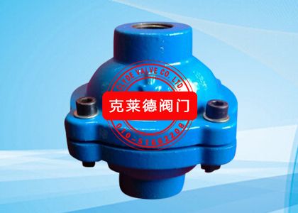 Check Valve; Size: 1/2&amp;quot; (DN15), A2958