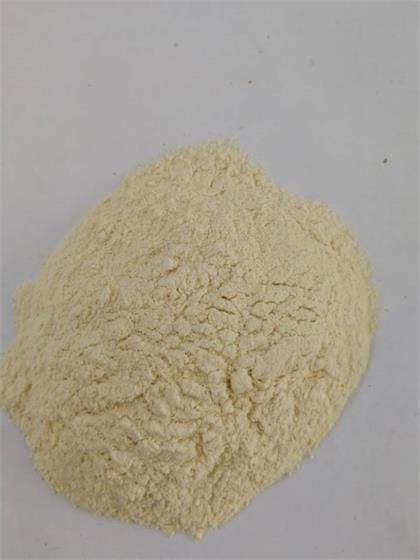 Dehydrated garlic powder