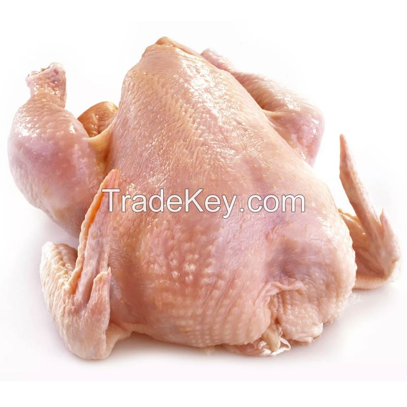 Premium Grade Halal Frozen Whole Chicken 